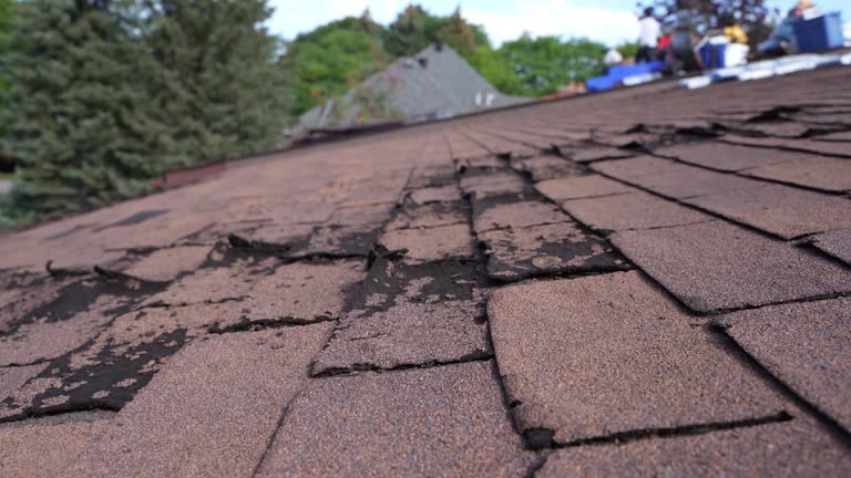 Best Emergency Roof Repair Services  in Pitcairn, PA